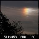 -%40%40%40moondog.jpg