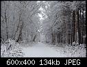 -snow2k13-4.jpg