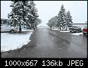 -img_2877-w1k-q70.jpg