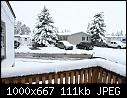 -img_2881-w1k-q70.jpg